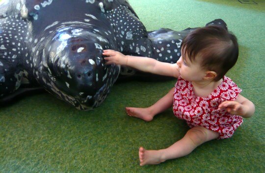 Melbourne Museum