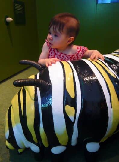 Melbourne Museum