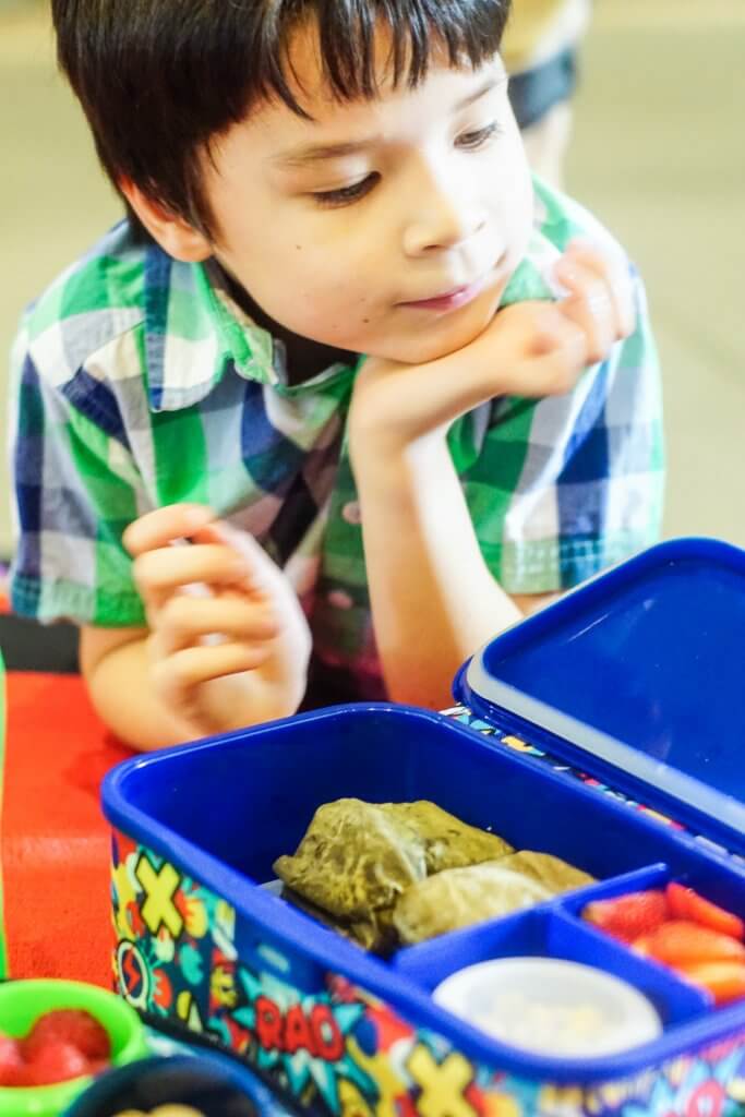 HOT: Smash Lunch Boxes & Food Storage Containers 12 Smash Lunch Box 10