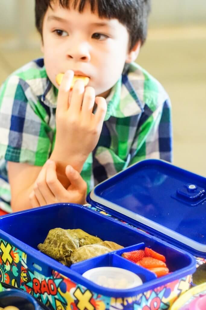 HOT: Smash Lunch Boxes & Food Storage Containers 14 Smash Lunch Box 11