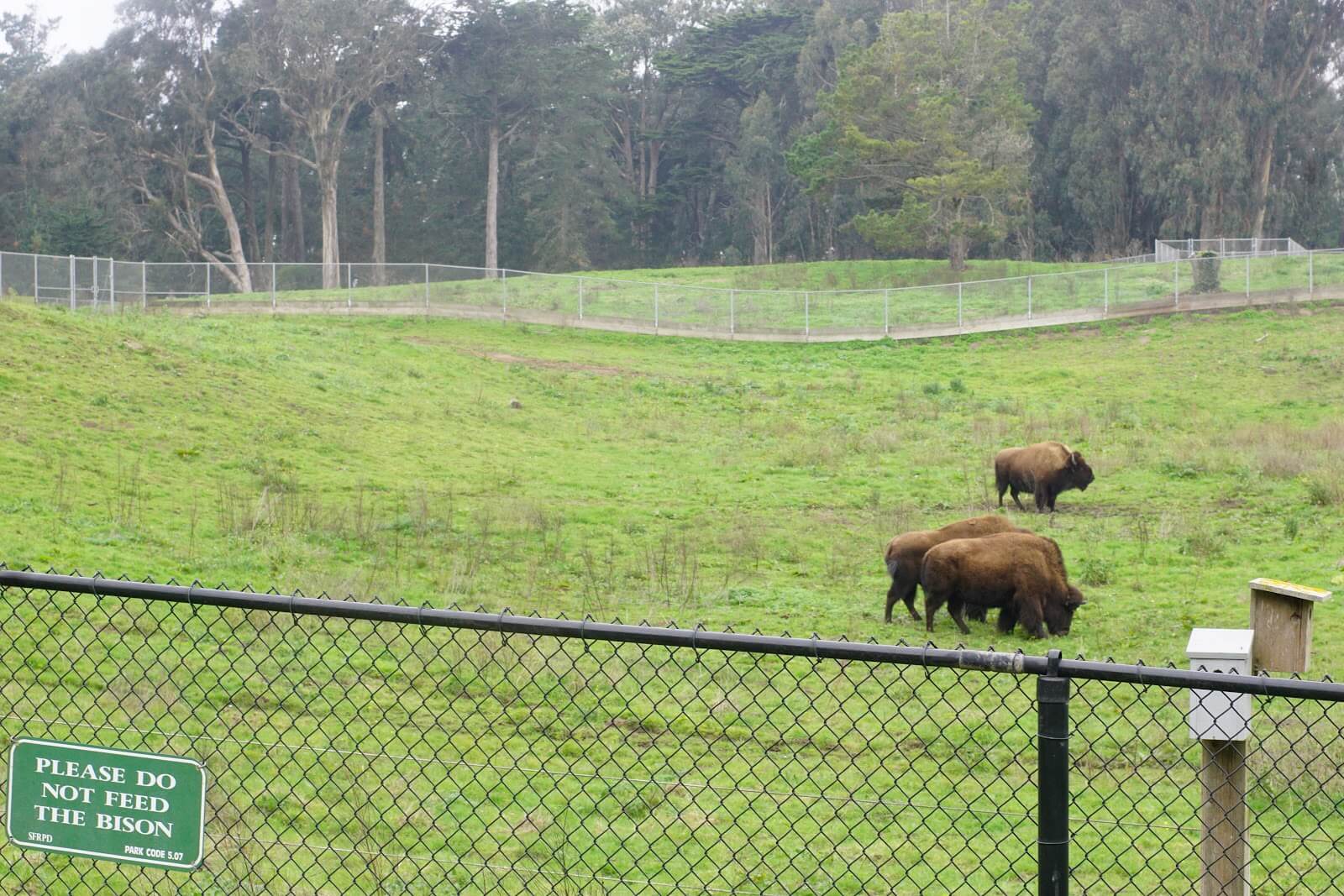 Top 23 Things to Do in San Francisco with Kids 2 691c2629 bca7 44ea a21d 187d977bfc38 San20Francisco20 2065