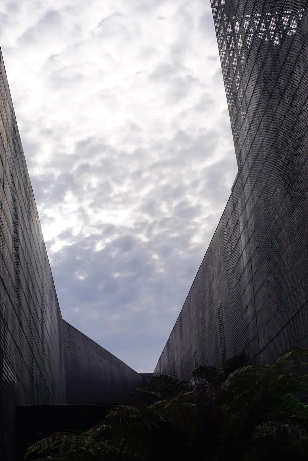 Top 23 Things to Do in San Francisco with Kids 3 f1f1c5b3 5d32 495e 9ba3 69d5a2ad6fbd San20Francisco20 2067