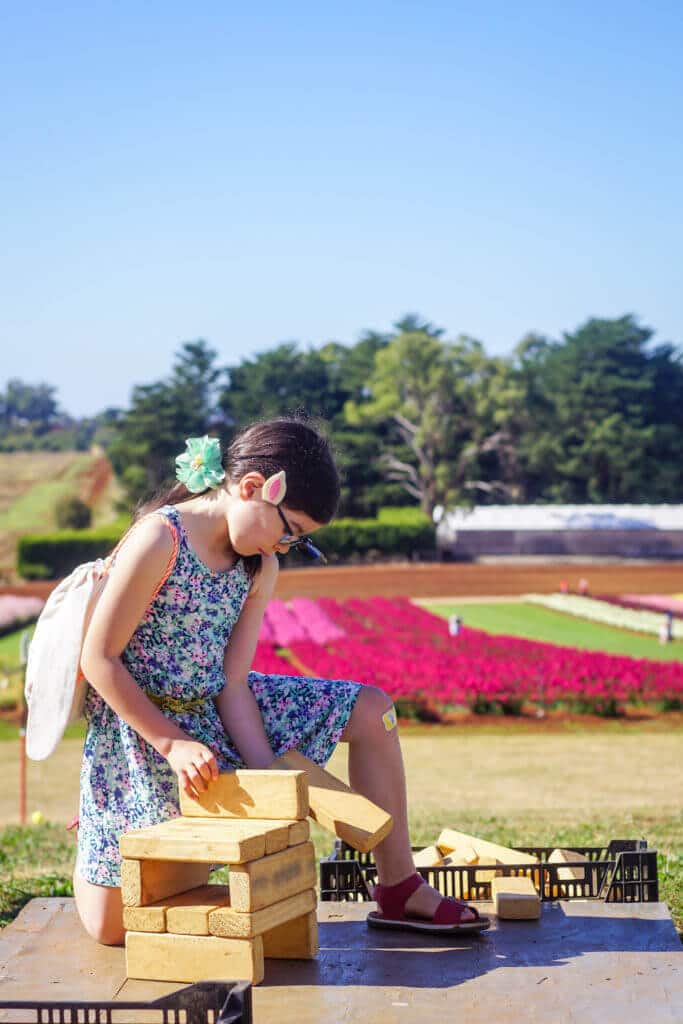 HOT: KaBloom Flower Festival, Silvan 7 KaBloom Flower Festival 12 2