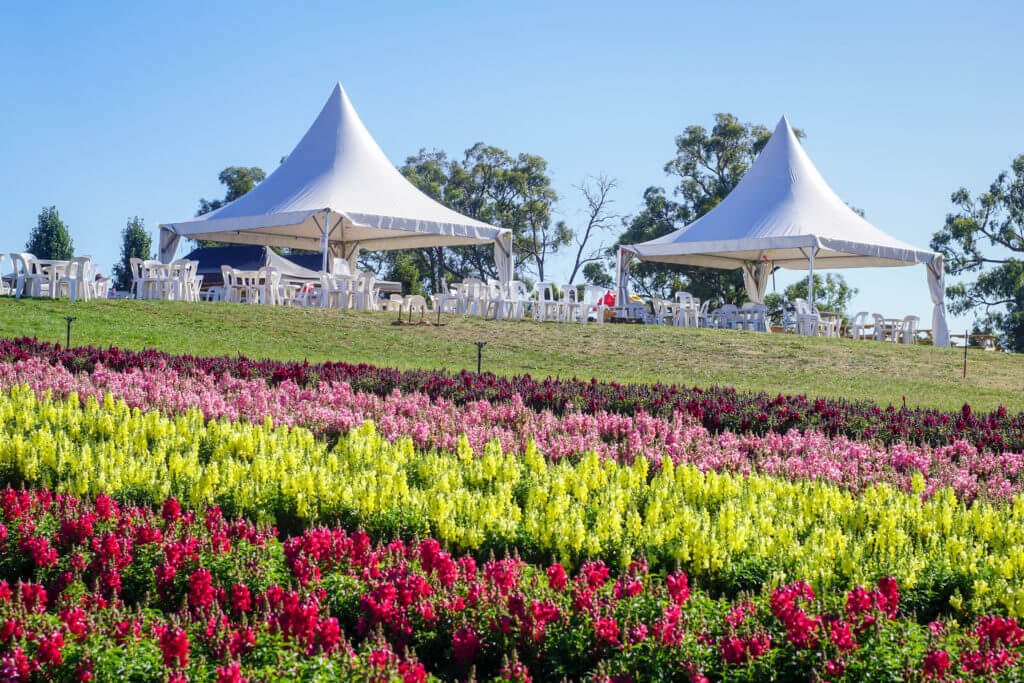 KaBloom Flower Festival 5 22