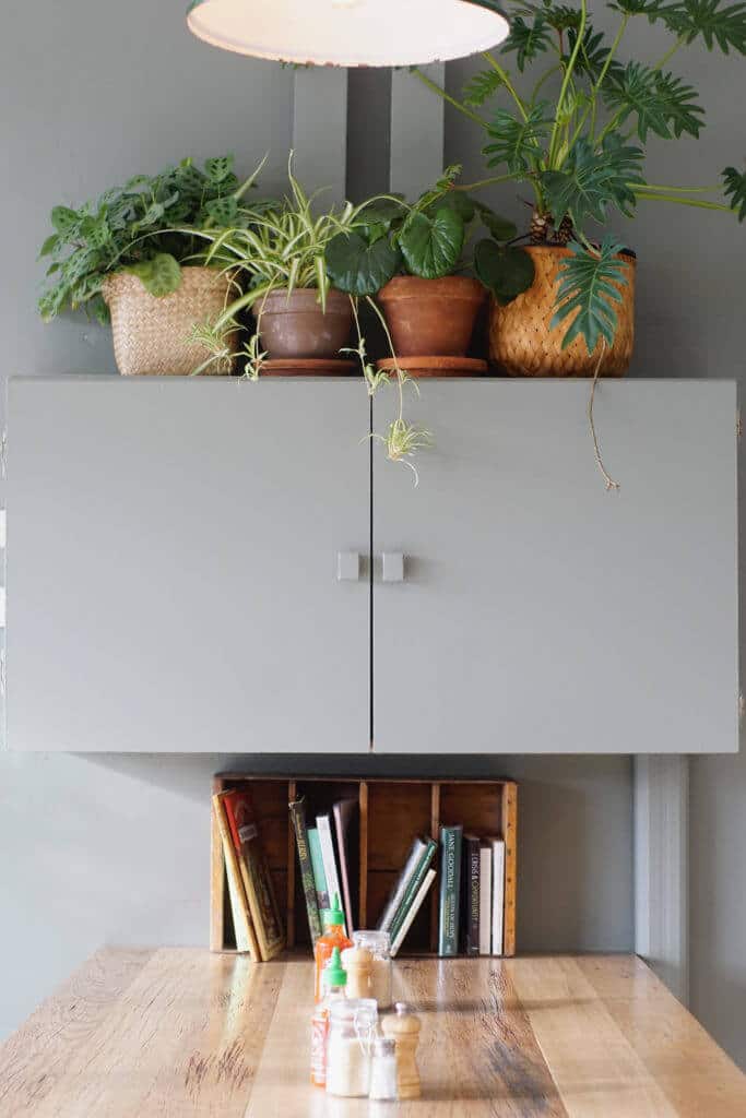 HOT: One for the Crow, Maidstone 6 One for the Crow Maidstone 2