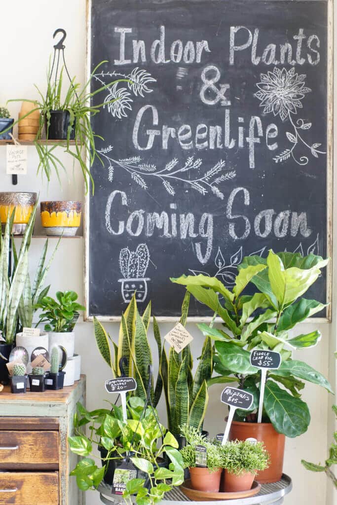 HOT: One for the Crow, Maidstone 2 One for the Crow Maidstone 4