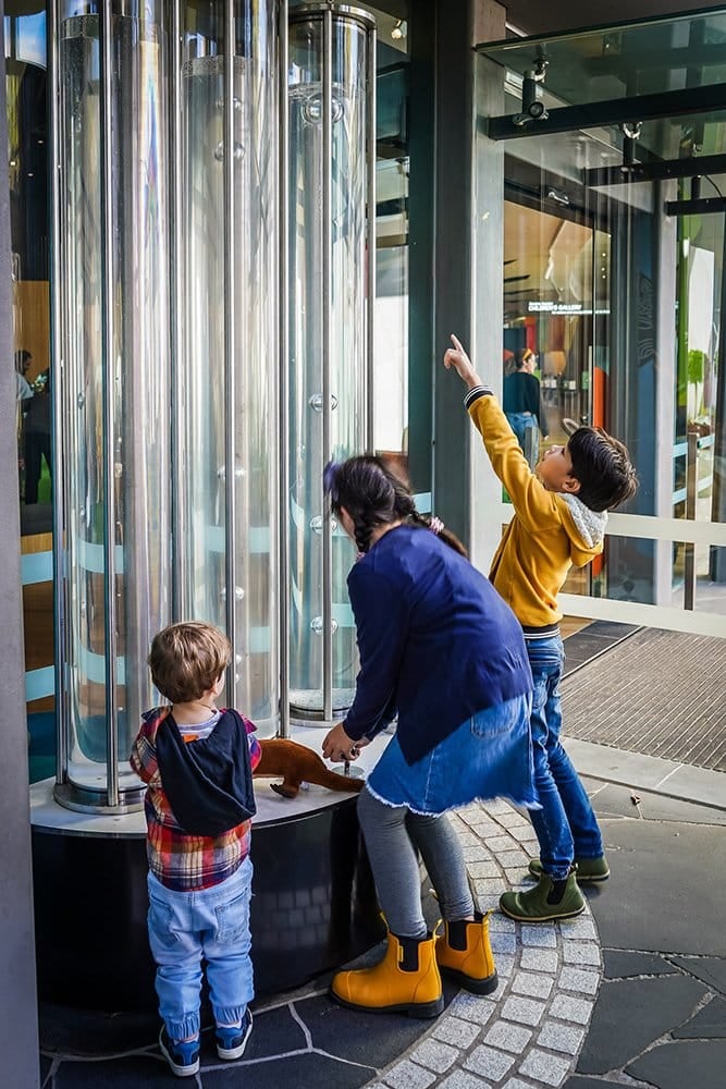 Carlton with Kids: The Complete Family Guide 2 Summer Melbourne Museum intro image
