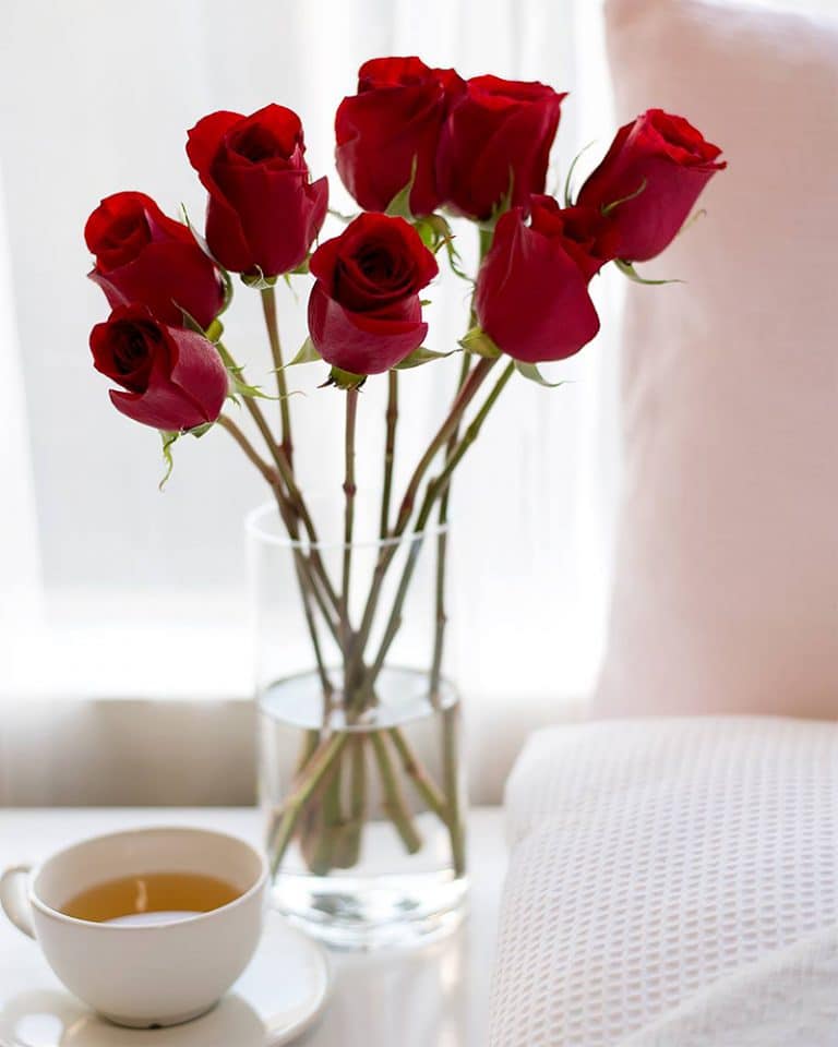 Valentine’s Day Flowers Melbourne | TOT: HOT OR NOT