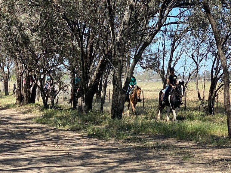 17 Best Farm Stays In Victoria & Melbourne | TOT: HOT OR NOT