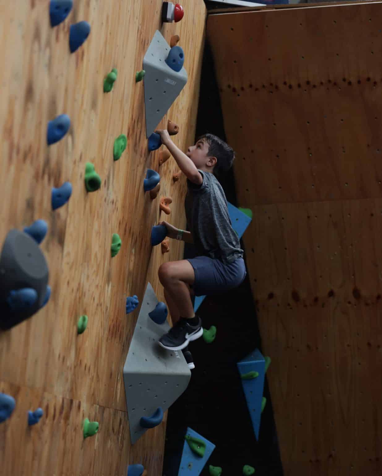 The Best High Ropes Courses In Melbourne | TOT: HOT OR NOT