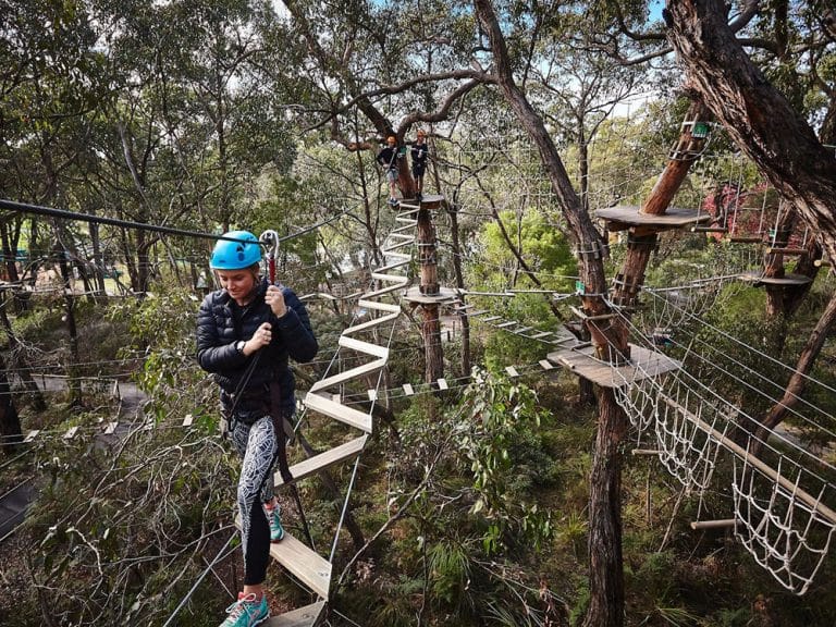 The Best High Ropes Courses In Melbourne | TOT: HOT OR NOT