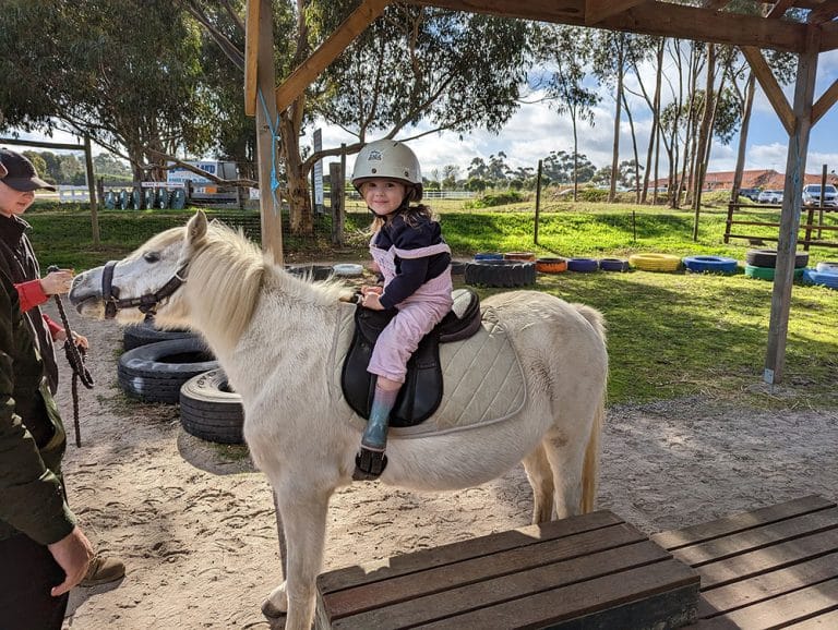 Animal Land Children’s Farm TOT HOT OR NOT