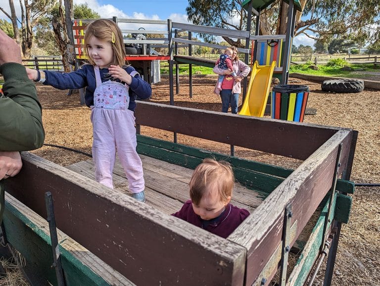 Animal Land Children’s Farm TOT HOT OR NOT