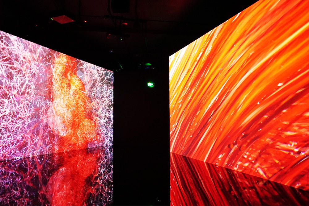 Embark on a Sensory Odyssey with Marshmallow Laser Feast: Works of Nature at ACMI 4 Marshmallow Laser Feast ACMI Images Joyce Watts