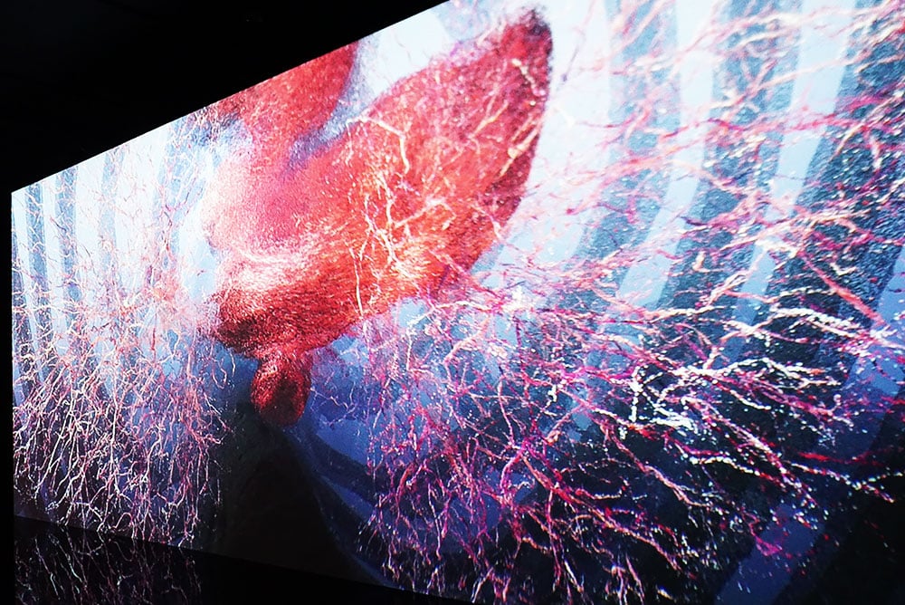 Embark on a Sensory Odyssey with Marshmallow Laser Feast: Works of Nature at ACMI 2 Marshmallow Laser Feast ACMI Images Joyce Watts
