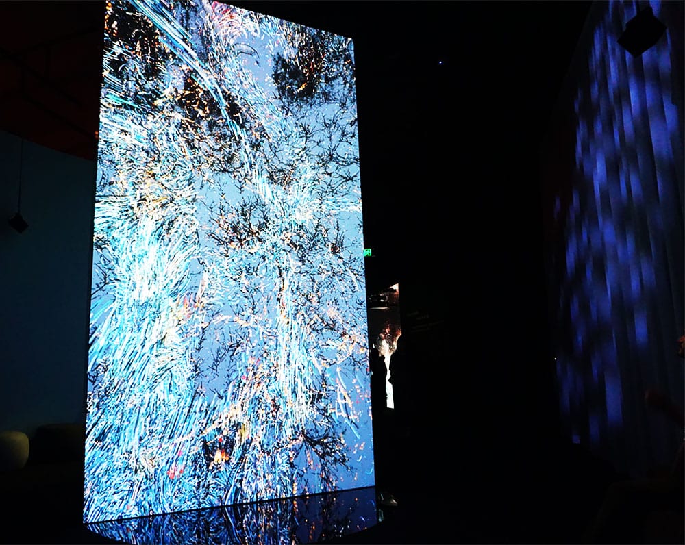 Embark on a Sensory Odyssey with Marshmallow Laser Feast: Works of Nature at ACMI 15 Marshmallow Laser Feast ACMI Images Joyce Watts