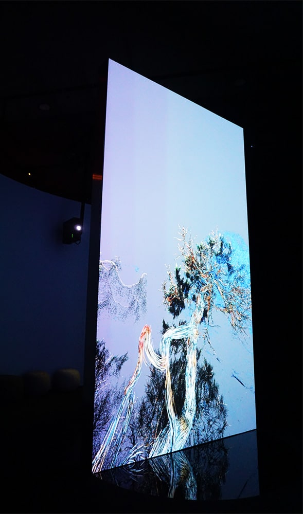 Embark on a Sensory Odyssey with Marshmallow Laser Feast: Works of Nature at ACMI 8 Marshmallow Laser Feast ACMI Images Joyce Watts