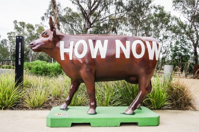 20 Best Things to Do in Shepparton with Kids
