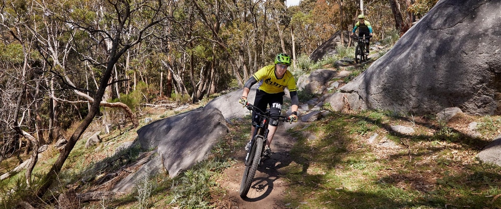 17 Best Pump Tracks Around Melbourne for Kids on Bikes + Scooters 15 Lysterfield Park Pump Track