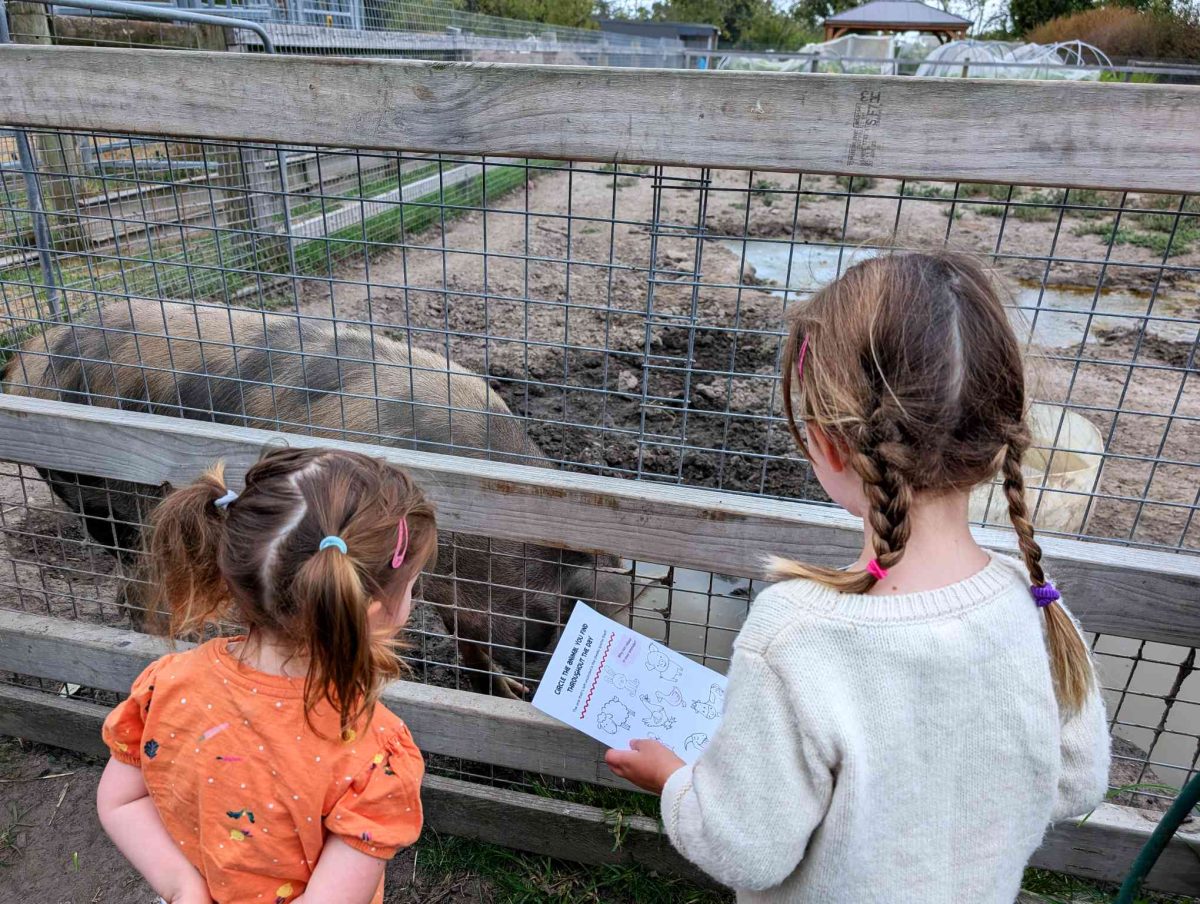 Visiting Sages Cottage Farm with Kids 2 Sages