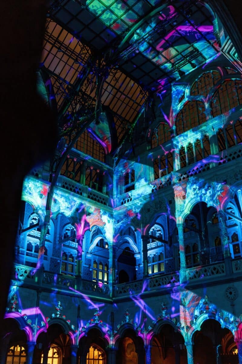 EONARIUM Enlightenment Melbourne: A Mesmerising Immersive Experience for Families 7 Apfilmsbe Fever Enlightenment Dc