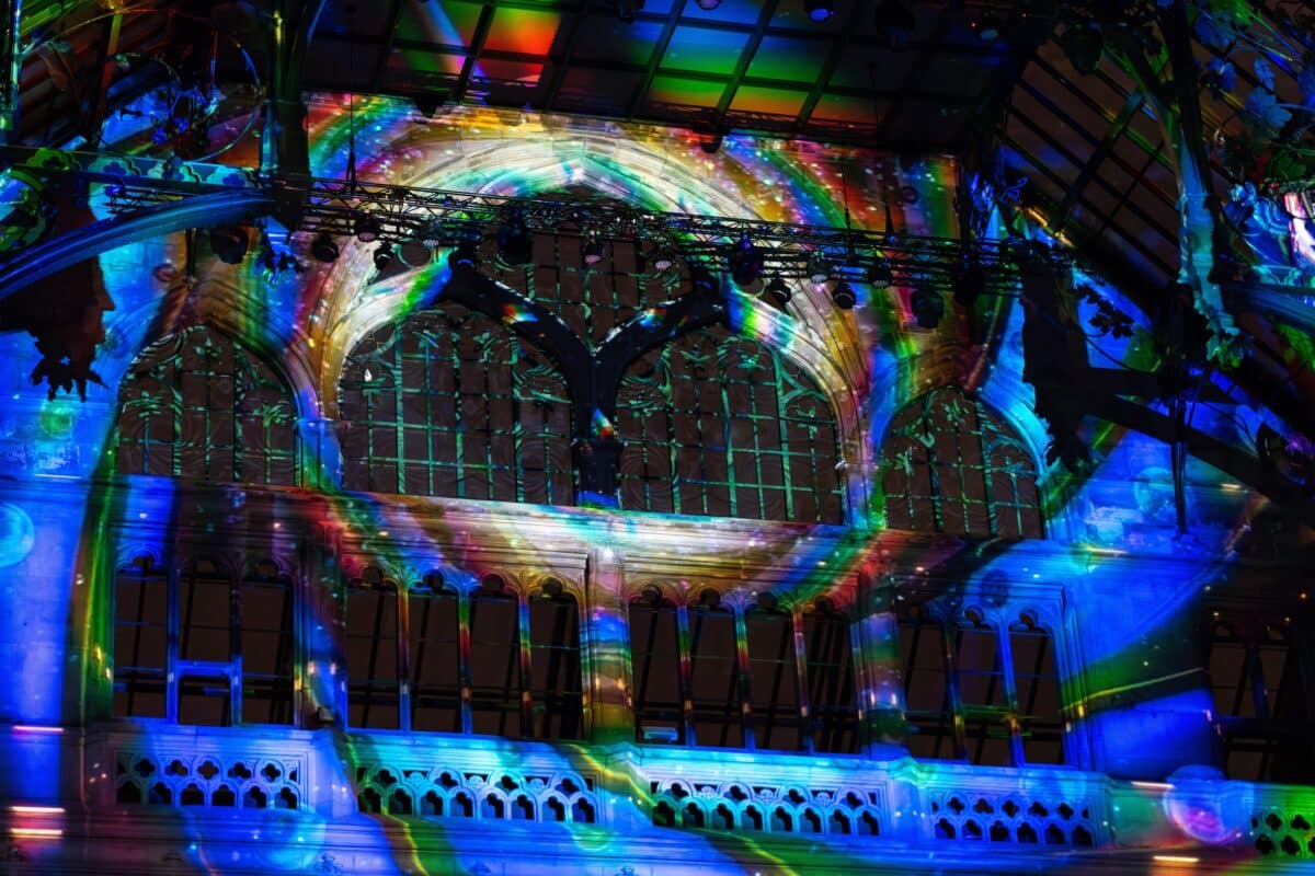 EONARIUM Enlightenment Melbourne: A Mesmerising Immersive Experience for Families 6 Apfilmsbe Fever Enlightenment c