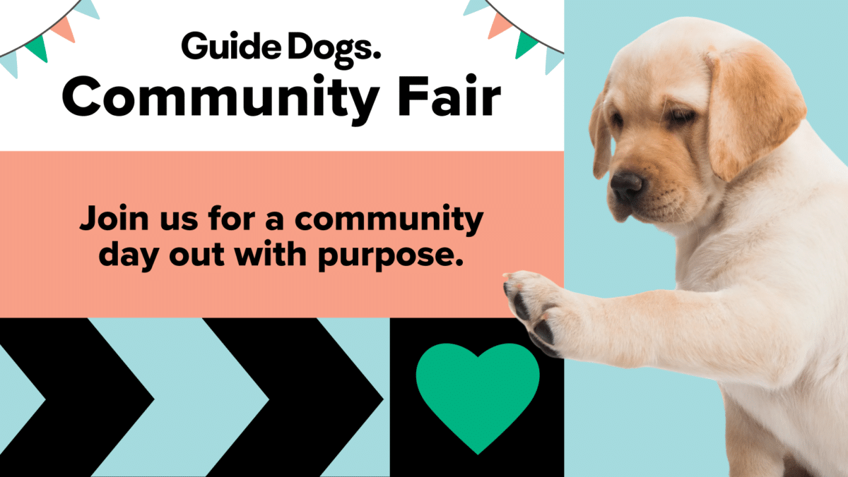 Guide Dogs Victoria Community Fair 4 GDV Community Fair