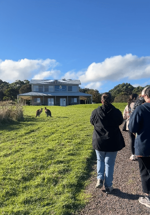 Wildlife Wonders Apollo Bay with Kids: A Parent's Review 12 Wildlife Wonders Apollo Bay