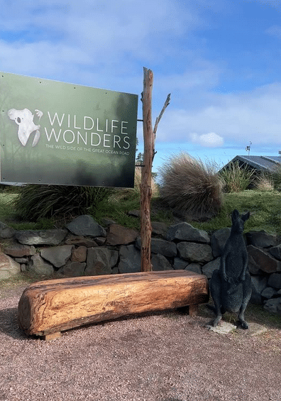 Wildlife Wonders Apollo Bay with Kids: A Parent's Review 15 Wildlife Wonders Apollo Bay