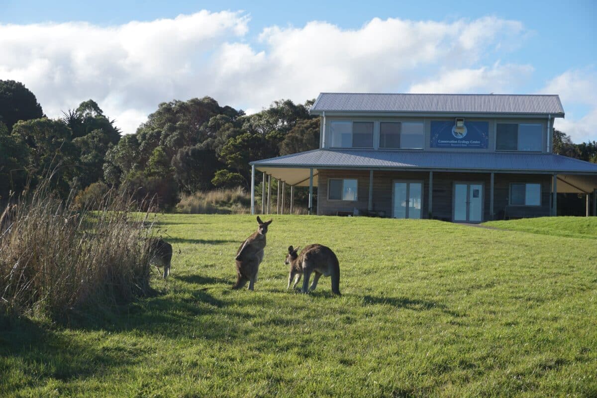 Wildlife Wonders Apollo Bay with Kids: A Parent's Review 1 Wildlife Wonders Apollo Bay Photos Joyce Watts