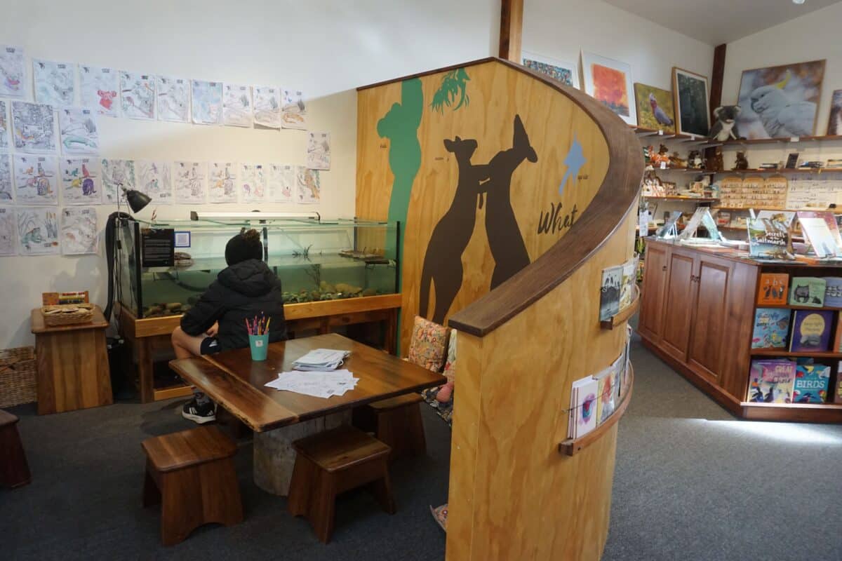 Wildlife Wonders Apollo Bay with Kids: A Parent's Review 3 Wildlife Wonders Apollo Bay Photos Joyce Watts