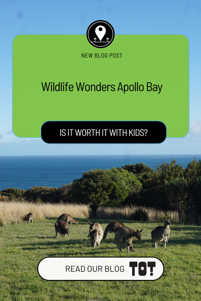 Wildlife Wonders Apollo Bay with Kids: A Parent's Review 16 Wildlife Wonders Apollo Bay with Kids A Parent's Review