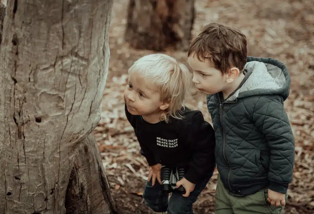 Bug nature detectives