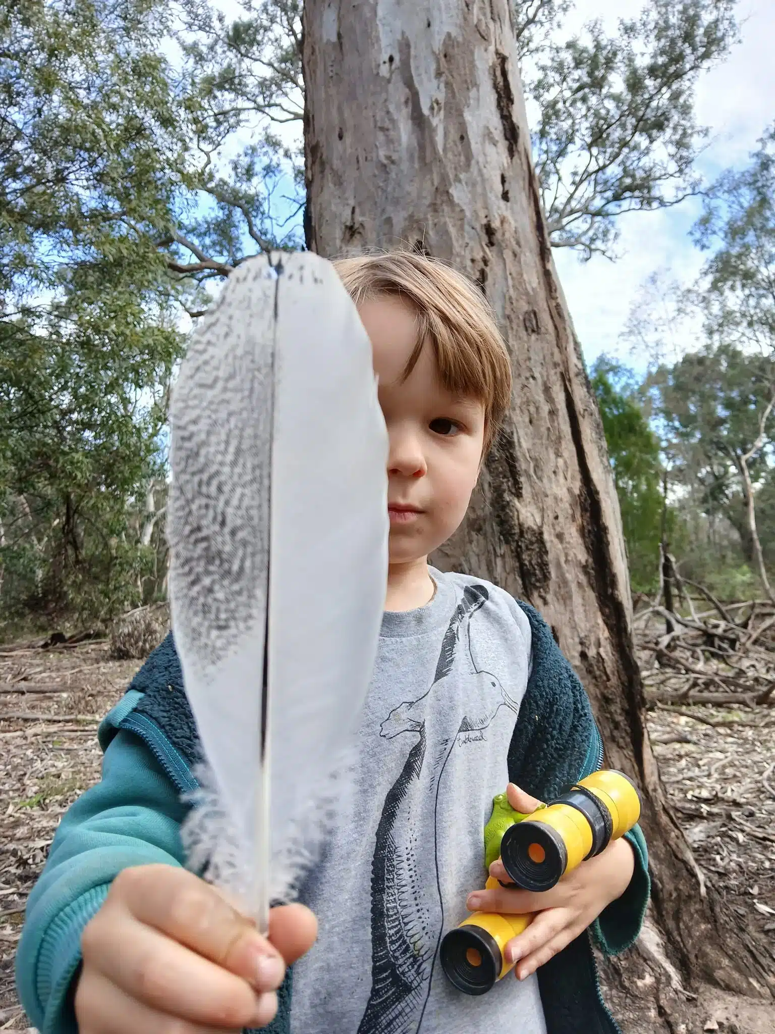 Bush Kinder programs Melbourne