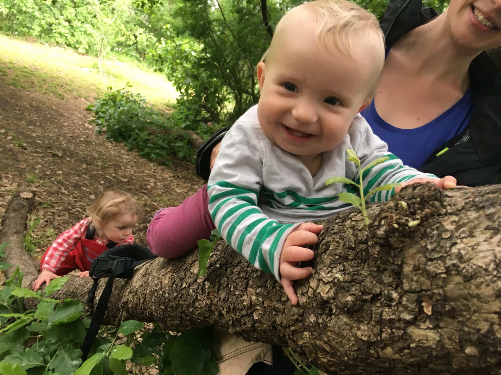 Ecoexplorer ()