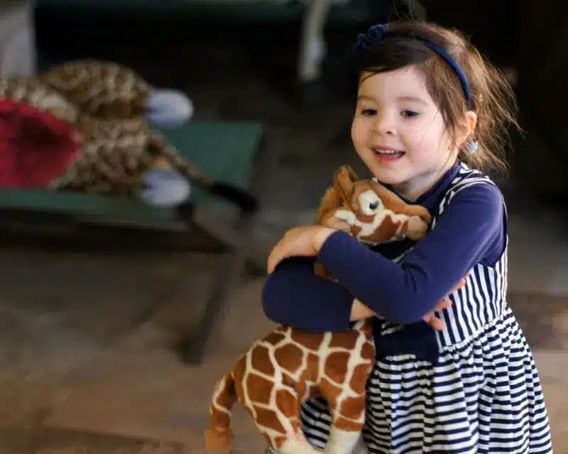 39 Things to Do in Melbourne with a Baby 24 Ranger Kids