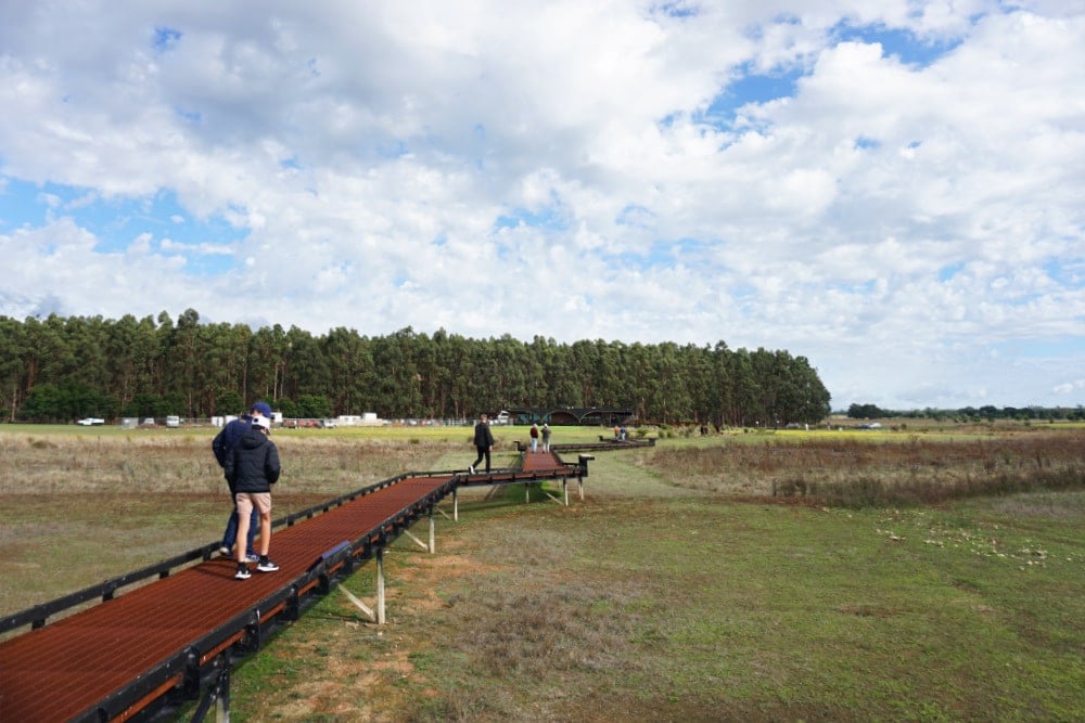 Visiting Budj Bim Cultural Landscape with Kids: What to Expect 12 Budj Bim