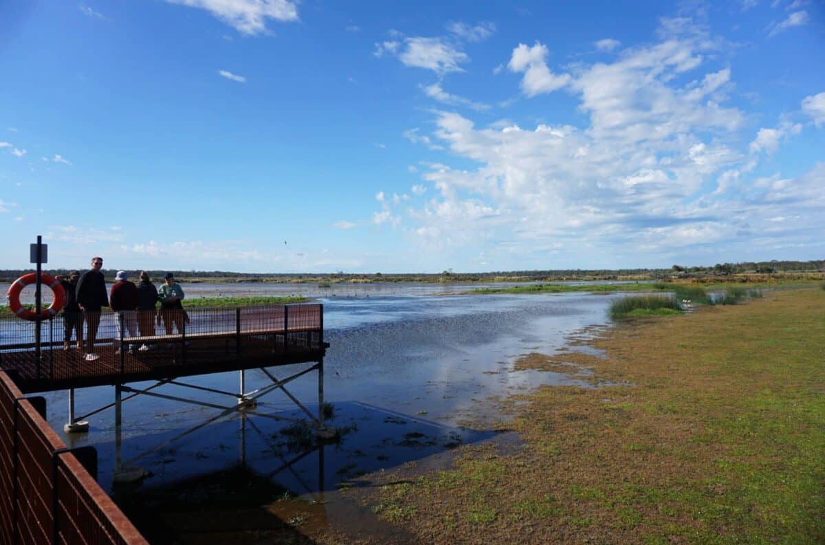 Visiting Budj Bim Cultural Landscape with Kids: What to Expect 14 Budj Bim