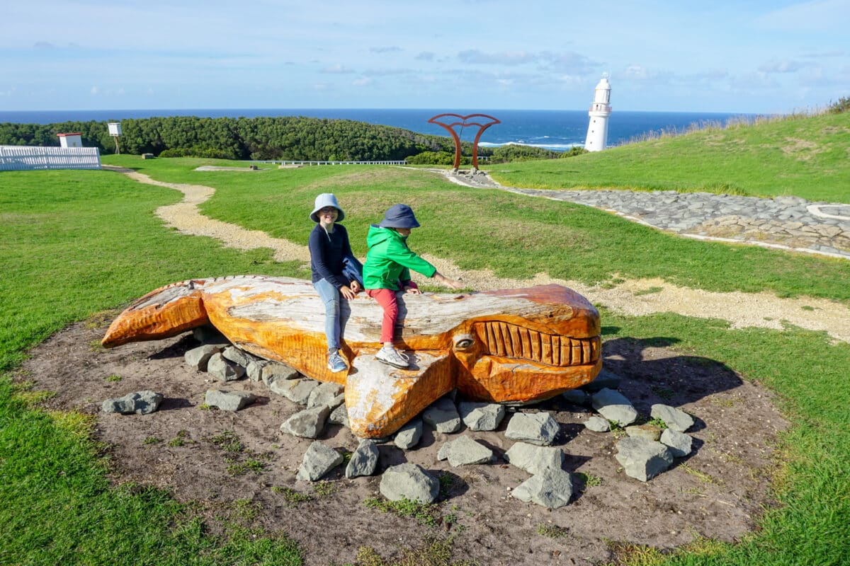 15 Best Things to Do in Apollo Bay with Kids 15 Cape Otway Lighthouse