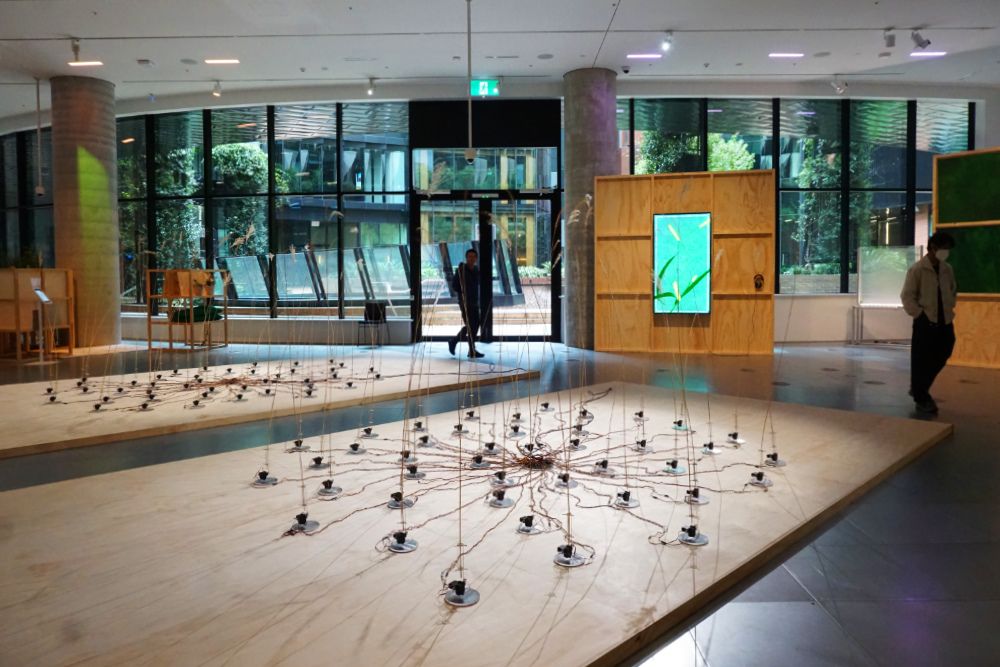 Emergence[y] Science Gallery Photos Joyce Watts px