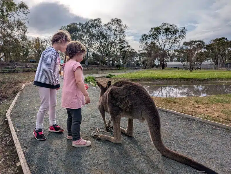 Echuca Moama with Kids: The Best Things to Do for Families 13 Kyabram Fauna Park