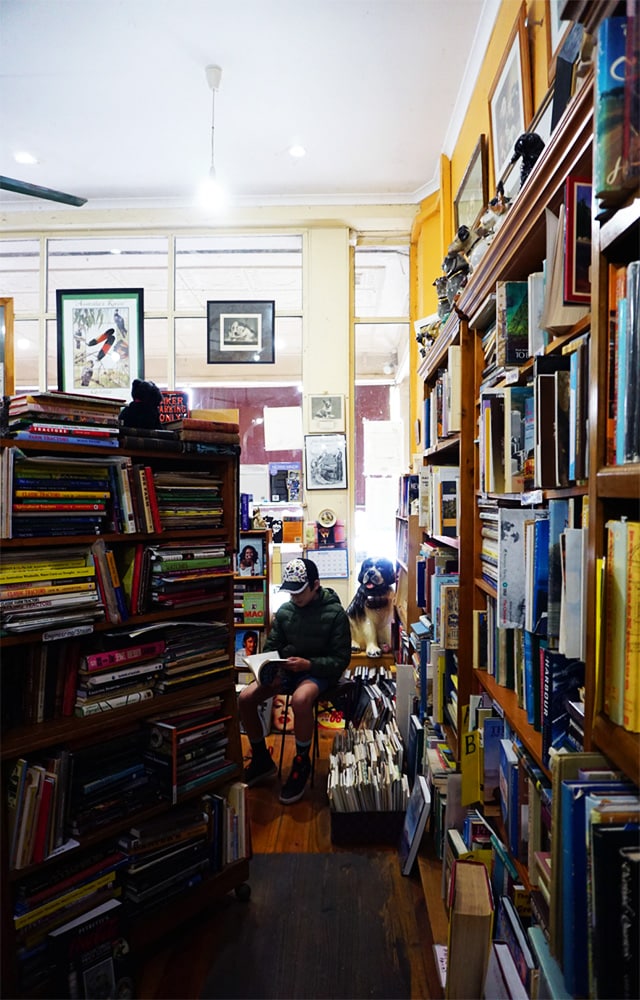 Echuca Moama with Kids: The Best Things to Do for Families 11 Read Heeler Bookshop Echuca px