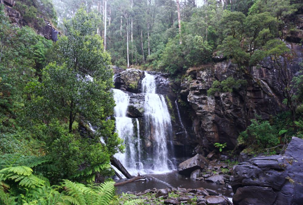 15 Best Things to Do in Apollo Bay with Kids 4 Stevensons Falls
