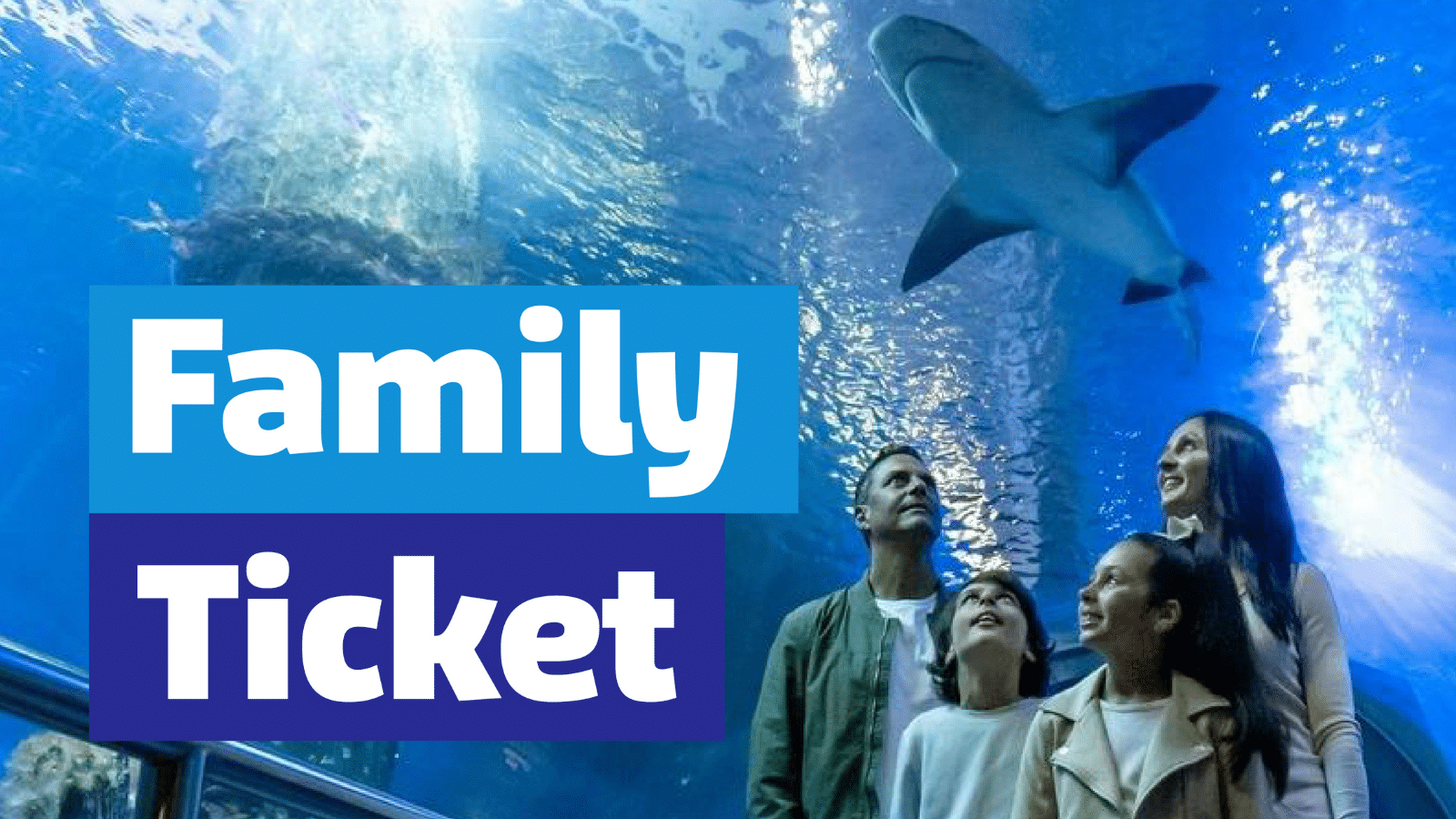 Make a splash with SEA LIFE Melbourne's NEW Family Ticket! 1 Untitled design ()