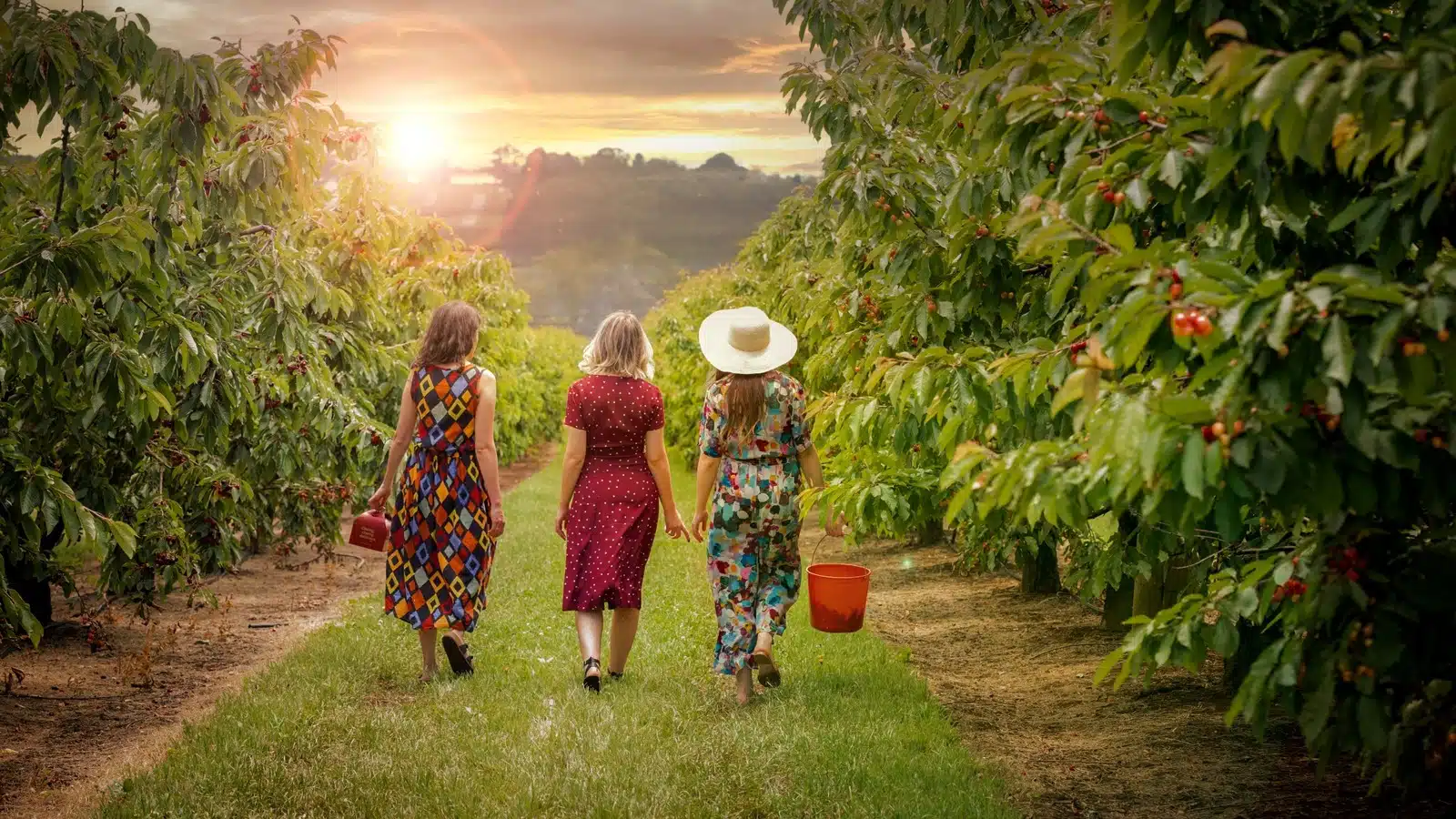 Cherry-Picking (Wandin East) 1 CherryHill Event x