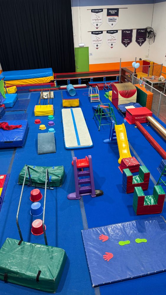 Best Birthday Party Venues in Melbourne's Inner West 8 LFK Dance & Gym