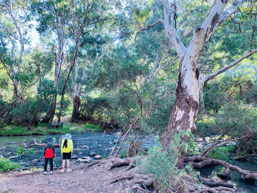 Things to Do in Melbourne's Inner West with Kids: The Complete Family Guide 1 image