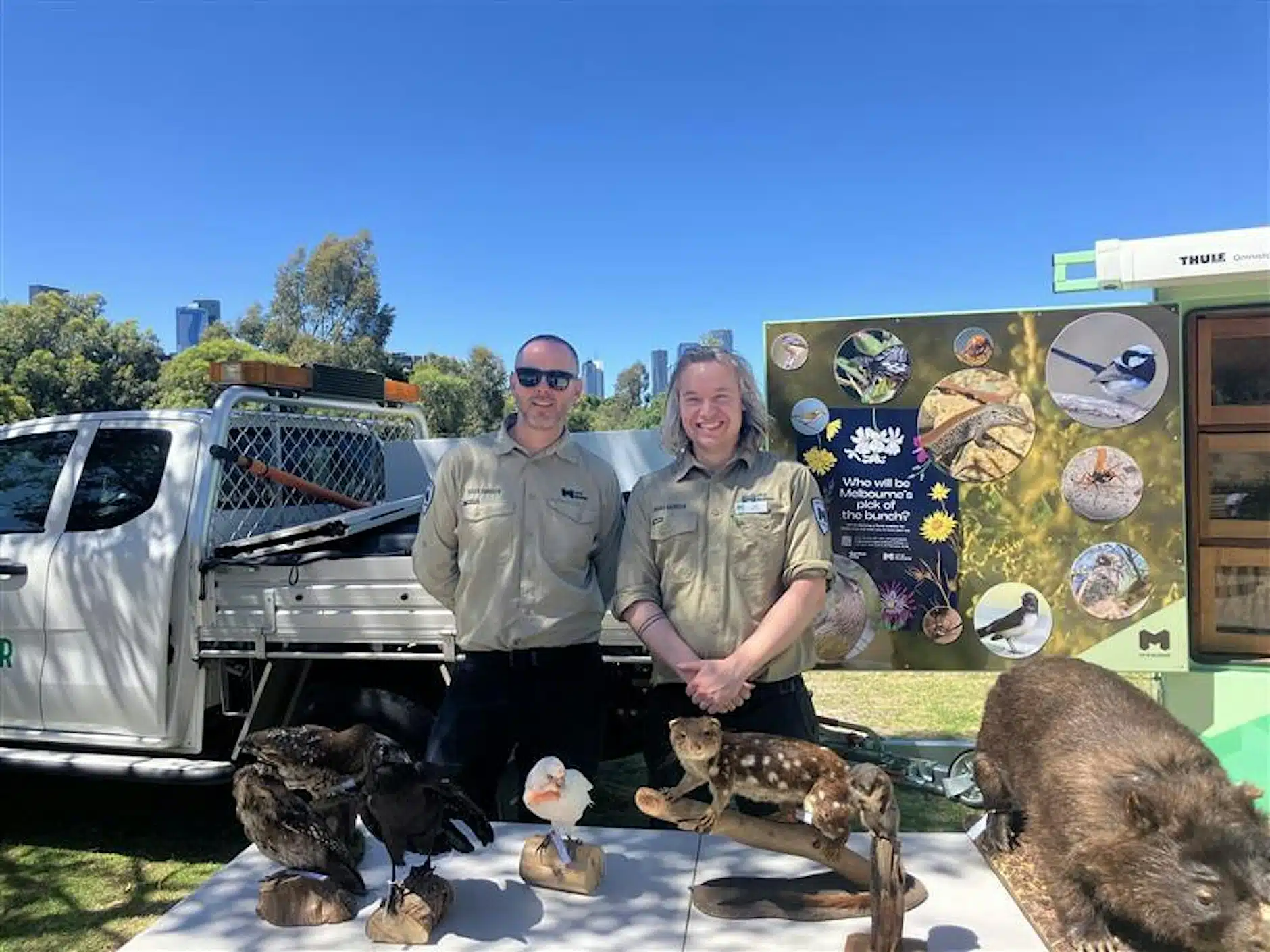 Junior Rangers - Wings and Wattles 1 Junior Rangers Wings and Wattles