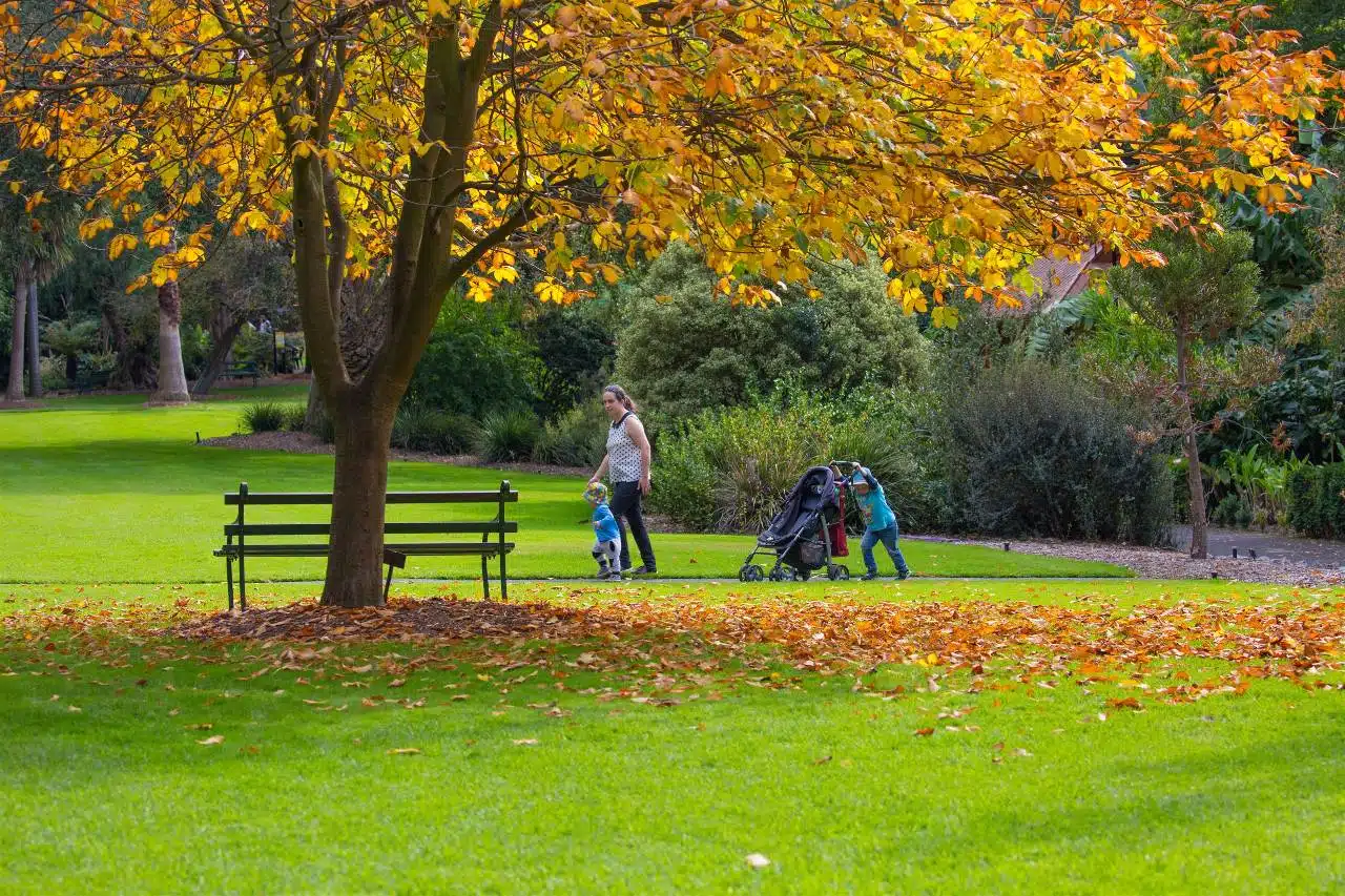 Geelong Botanic Gardens 1 Geelong Botanic Gardens