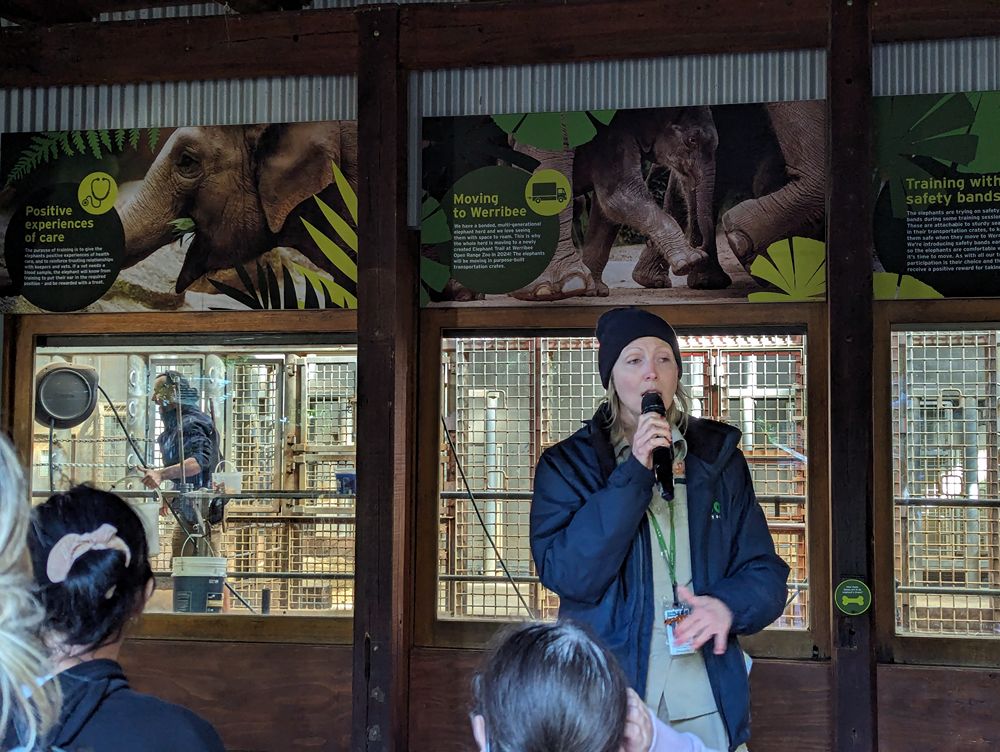 Melbourne Zoo with Kids: Tips, Must-Sees and What You Need to Know Before You Go 5 Melbourne Zoo images Amy Gardner () ()